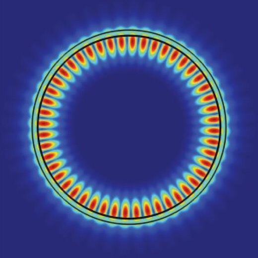 In the whispering gallery mode of a 2D excitonic laser made from a monolayer of tungsten disulfide and a microdisk resonator, the electric field at the edges of the resonator helps promote a high Q factor with low power consumption.