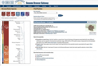 Just launched! Genome Browser in the Cloud (GBiC) introduces more freedom to collaborate, plus faster Genome Browser installations.