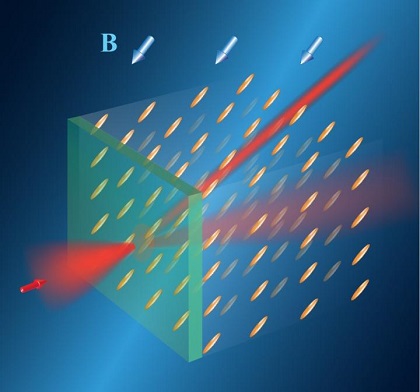 CAPTION Routing of light in a liquid crystal by a magnetic field (B). The orientation of the field determines the orientation of rod-shaped molecules of the liquid crystal and defines direction of the light trajectory. This trajectory can be rapidly changed by changing the orientation of the magnetic field.