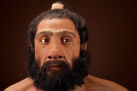 Homo neanderthalensis adult male.  Reconstruction based on Shanidar 1 by John Gurche for the Human Origins Program, NMNH.  Date:  225,000 to 28,000 years.