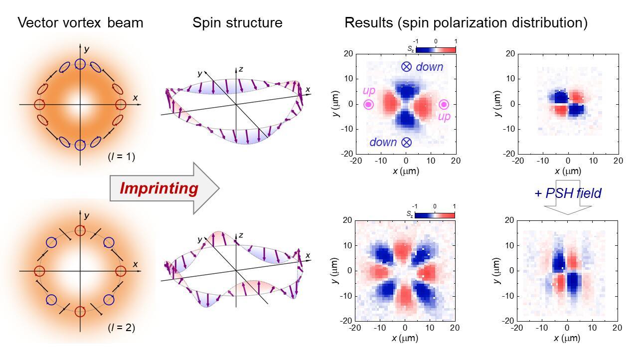 Researchers from Japan have utilized a vector optical vortex (left), a structured light with spatially variant polarization, for generating spatially structured spin states in a semiconductor quantum well (left). This is achieved by imprinting the vortex beam's structure on to the electron spins. Moreover, the combination of the excited spin texture and PSH fields leads to two helical spin waves with opposite phases.