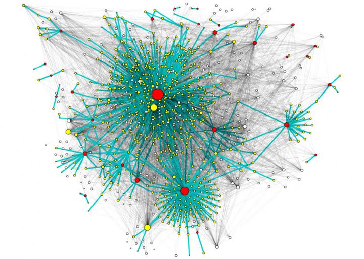 This is a visualization of the spreading of messages on Twitter (retweets network in green) on the followers network (grey). The nodes represent users and their size is proportional to the number of followers that they have. Red indicates users who have written original tweets and yellow indicates users who have retweeted them.  Credit: Image adapted by A.J. Morales, R.M. Benito et al.-Social Networks