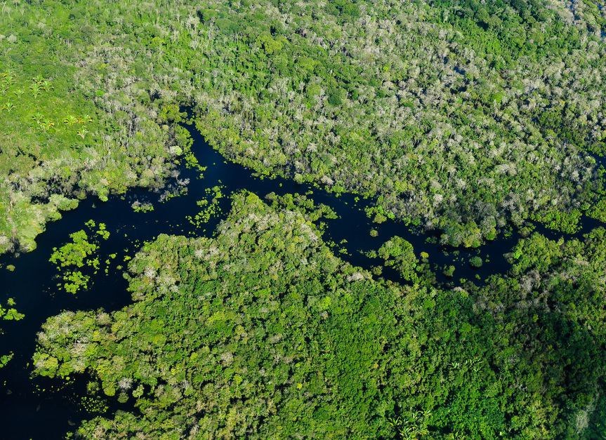 Amazon rainforest near Manaus, Brazil. Photo: CIFOR, Neil Palmer/CIAT on Flickr