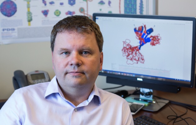 Lukasz Kurgan, Ph.D., with a picture of an intrinsically disordered protein behind him. Kurgan has developed bioinformatics computer programs that help determine the functions of these proteins.