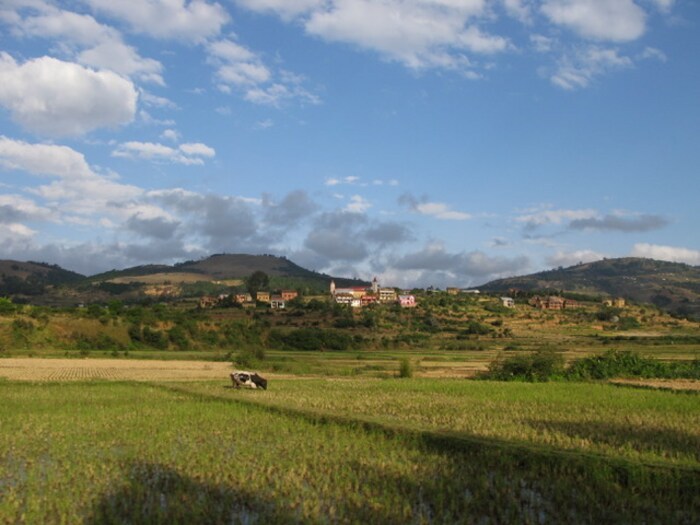 Current anthropized landscape of Madagascar  CREDIT MAGE Consortium