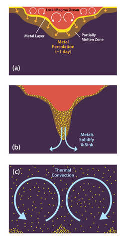 This schematic illustrates the most geophysically plausible explanation for the abundance of HSE metals present in the Earth’s mantle. During the long period of bombardment, impactors would strike the Earth and deliver materials. (a) Liquid metals would sink in the locally produced impact-generated magma ocean before percolating through the partially molten zone beneath. (b) Compression causes the metals in the molten zone to solidify and sink. (c) Then thermal convection mixes and redistributes the metal-impregnated mantle components over long geologic time frames.