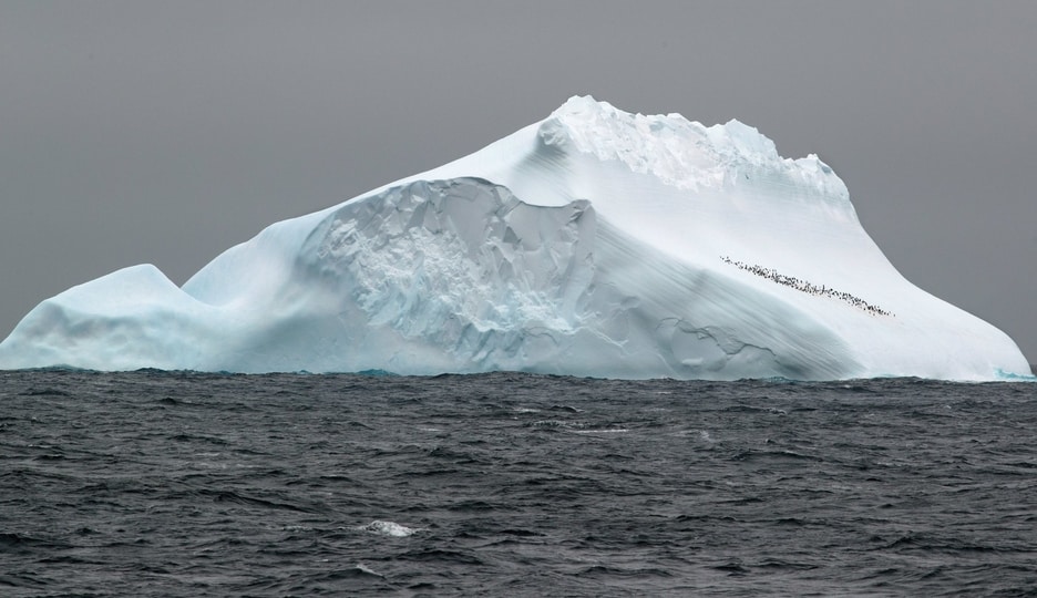 Iceberg - Iceberg in Antarctica © Uni Bonn/ Michael Weber