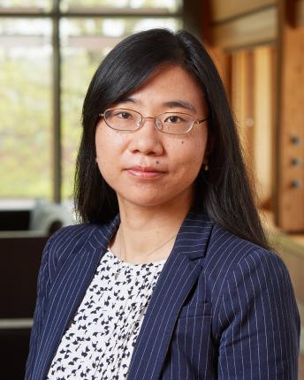 Yuan Yao Assistant Professor of Industrial Ecology and Sustainable Systems