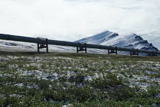 Pipeline in Alaska (Photo: Moritz Langer)