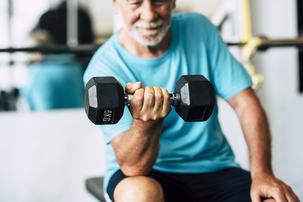 FAU researchers analyze resistance training in older adults at the cellular level