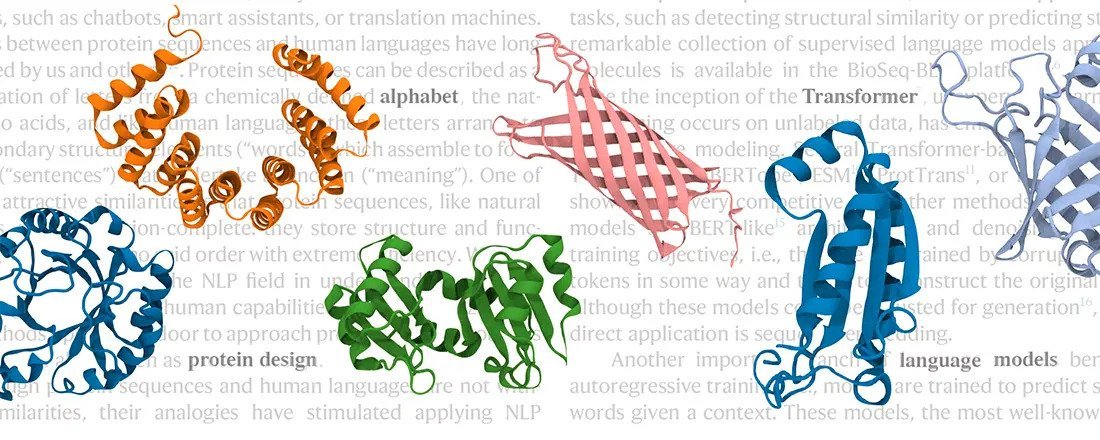 Principles and processes that govern computational natural language processing are now increasingly used in protein research. Image: UBT / Protein design group.