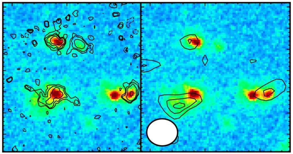 Figure 2. The background color image shows a map of the light intensity (redder color shows stronger emission) in the core region of the protogalactic cluster A2744ODz7p9, acquired with the NIRCam onboard JWST. The size of the image corresponds to about half of the radius of the Milky Way Galaxy. (Left) Contours show the distribution of light emitted by ionized oxygen, obtained with the NIRSpec instrument onboard JWST. 4 galaxies were identified at 13.14 billion light-years away. (Right) Contours show the distribution of dust emission from three of the four galaxies. The white circle in the lower left of the figure indicates the beam size of the ALMA data. Credit: JWST (NASA, ESA, CSA), ALMA (ESO/NOAJ/NRAO), T. Hashimoto et al.