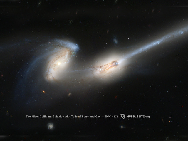 An image of the colliding galaxies NGC4676, "The Mice," as seen by Hubble. An analysis of eighteen thousand colliding galaxies in the supercomputer simulation Illustris has found that mergers like this one are the dominant mechanism determining the shape of galaxies more massive than the Milky Way, while for lower mass galaxies mergers do not play a significant role.  NASA/HST