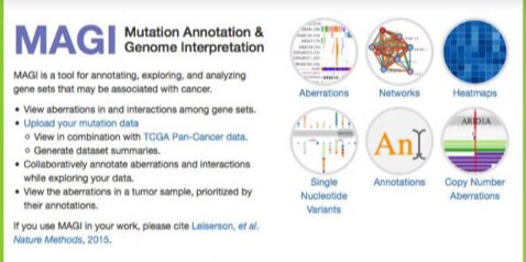 Web app helps researchers explore cancer genetics