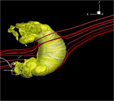 CAPTION The yellow shape in this figure is the heliopause, the boundary between the heliosphere and the local interstellar medium. The sun sits at the center of this large bubble, but is too small to be seen here. The gray lines are the solar magnetic field lines and the red lines are the interstellar magnetic field. CREDIT M. Opher