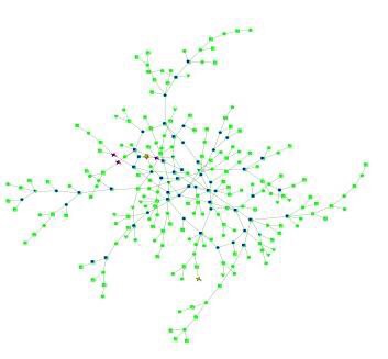 CAPTION Links among infectious networks are shown. CREDIT Filipe Monteiro/Brown University