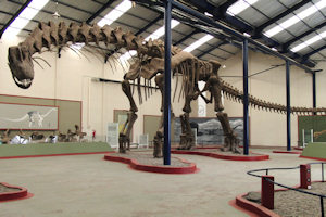 Scientists digitally reconstruct giant steps taken by dinosaurs