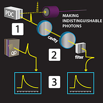 [1] A single photon is produced by a quantum dot (QD). Simultaneously, a pair of photons is produced by a parametric down-conversion crystal (PDC). [2] One of the PDC photons—which has different characteristics than the QD photon—is routed into a cavity and filter, [3] rendering this PDC photon and the QD photon nearly identical. Credit: Suplee, NIST