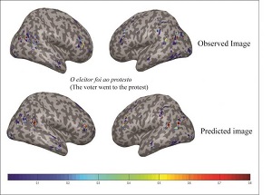 CAPTION This image compares the neural activation patterns between images from the participants' brains when reading 