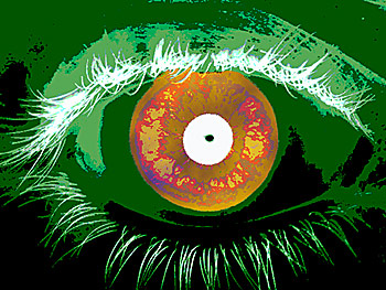 According to a NIST report, software that identifies people based on scans of the iris, the 'colored' part of the eye that surrounds the pupil, can produce very rapid results, but this speed is often at the cost of accuracy. Credit: Talbott/NIST