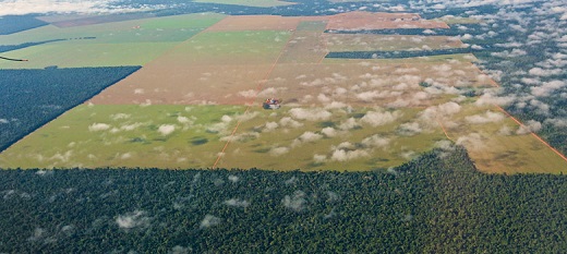 This agro-industrial field being prepared for soybean planting is in the midst of Brazil's Cerradao forest. A team of Stanford researchers has developed a computer model that can help understand the ways that activities such as clear-cutting might impact the future of the land and indigenous people who live in the Amazon rainforest. (Photo: Courtesy Jose Fragoso)