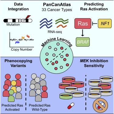 CAPTION This image shows machine learning and 'hidden responders'.  CREDIT Casey Greene, PhD, Perelman School of Medicine, University of Pennsylvania, Cell Reports