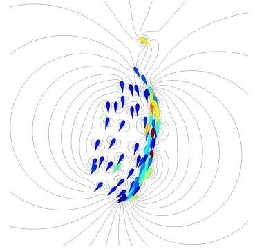 CAPTION This is a simulation of a school of a hundred fish. Flow lines are shown in grey, while the color of the fish denotes their speed (red for the fastest and blue for the slowest).  CREDIT Audrey Filella/Aix-Marseille Université