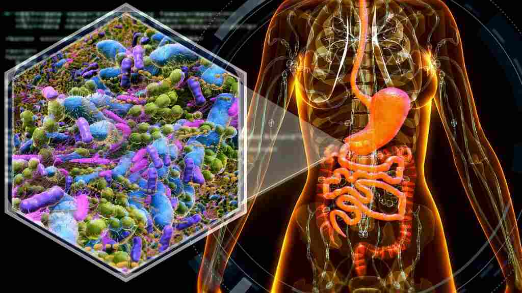 Mayo Clinic researchers develop innovative computational tool providing insights into gut microbiome health