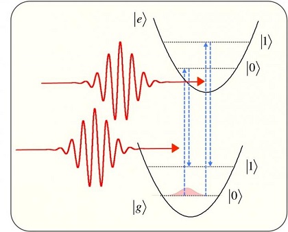 CAPTION Coherent optical phonons are coherently controlled by a pair of ultrashort optical pulses. |g> and |e> indicate the electronic ground and excited states and |0> and |1> indicate zero- and one-phonon state, respectively.  CREDIT Kazutaka G. Nakamura