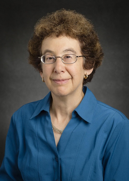 Deborah Levin, Professor of Aerospace Engineering, University of Illinois at Urbana-Champaign.