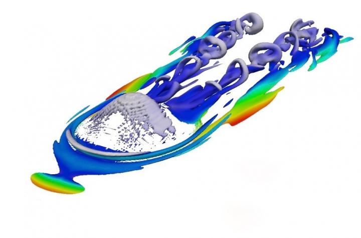 The image above is a 3D computer simulation of air flowing over a hill creating turbulence at transonic speed. The ring-like features are eddies of air.