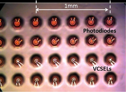 You can see tiny lasers and photodetectors in this photomicrograph of IBM's Holey Optochip. (Photo: IBM)