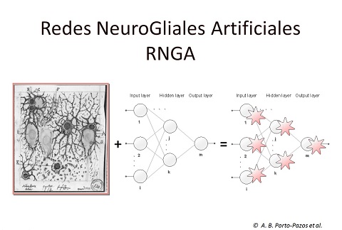 Esquema que representa la fusión de los astrocitos -se ve un dibujo de Cajal de los astrocitos que 'abrazan' las neuronas- con las redes de neuronas artificiales dando lugar a las Redes NeuroGliales Artificiales (RNGA)