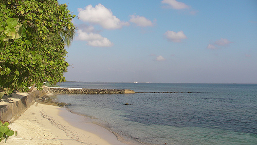 A sunny day on Gan Island, home of the 2011 AMIE-Gan field campaign. Photo courtesy of Chuck Long.