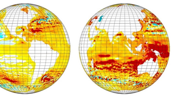 Global sea level changes in recent decades. Coastal cities with rising sea levels will be more vulnerable to ongoing global climate change.  CREDIT Hongyin Chen