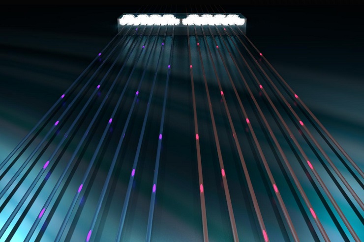 CAPTION By exploring complex integrated circuits, photonic states can be generated and processed at larger scales.  CREDIT Dr Stefano Paesani, University of Bristol