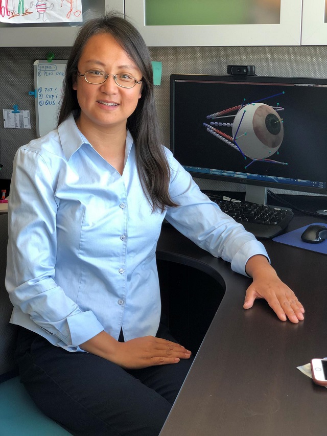 Qi Wei, an associate professor in the bioengineering department, is fine-tuning a supercomputer model that will help with the diagnosis and treatment of crossed eyes. Mason Engineering's Qi Wei is studying strabismus.