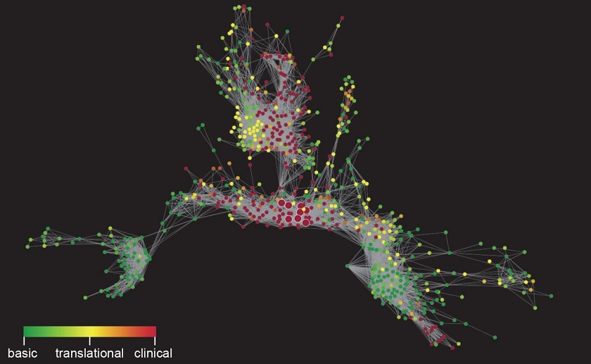 CAPTION This image depicts the co-citation network of seminal fundamental publications that led to the clinical development of cancer immunotherapy treatments. Large dots (center) represent the most influential clinical trials that formed part of the evidence base for FDA approval of these treatments. Heat mapping indicates the extent to which the research was human-focused; at the extremes, each green dot represents a fundamental research publication and each red dot a publication describing human research. This network was generated using open access data from the new modules of the iCite webtool described in two new articles from Hutchins and colleagues.  CREDIT Ian Hutchins and George Santangelo