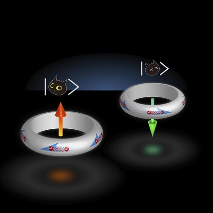 CAPTION A visual representation of a qubit, which can exist simultaneously between two states. A famous example of a qubit is Schrodinger's cat, a hypothetical cat that can be both dead and alive. Similarly, a flux qubit, or a ring made of a superconducting material, can have electric current flowing both clockwise and counterclockwise at the same time.  CREDIT Yufan Li