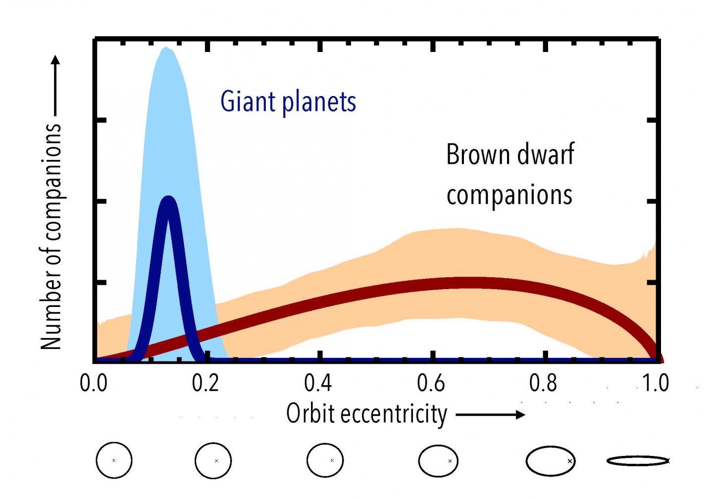 CAPTION These two curves show the final distribution of orbit shapes for giant planets and brown dwarfs. The orbital eccentricity determines how elongated the ellipse is, with a value of 0.0 corresponding to a circular orbit and a high value near 1.0 being a flattened ellipse. Gas giant planets located at wide separations from their host stars have low eccentricities, but the brown dwarfs have a wide range of eccentricities similar to binary star systems. For reference, the giant planets in our solar system have eccentricities less than 0.1.  CREDIT Credit: Brendan Bowler (UT-Austin)