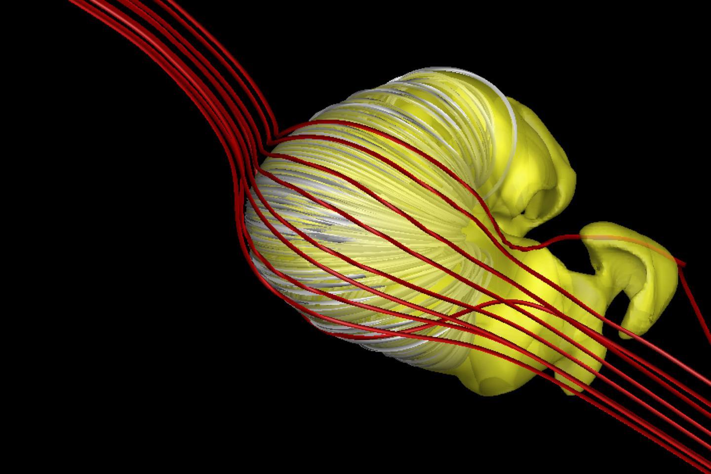 CAPTION Is this what the heliosphere looks like? New research suggests so. The size and shape of the magnetic 