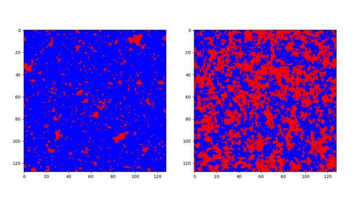 CAPTION Simulated low temperature (left) and high temperature (right) phase of a 2D Ising model, where blue points are spins pointing up, and the red points are spins pointing down. Notice that the spins in the low temperature phase are mostly in the same direction. This is called a ferromagnetic phase. On the other hand, at high temperature, the ratio of up to down spins is closer to 50:50. This is called a paramagnetic phase.