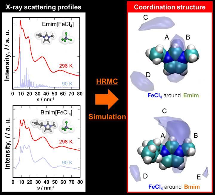 CAPTION Magnetic ionic liquid structures were elucidated through hybrid reverse Monte Carlo simulation. The research results elucidated fundamental understanding of pure liquids with magnetic responses as well as lead to the development of MIL for a variety of practical applications.  CREDIT Ryusuke Futamura, Faculty of Science, Department of Chemistry, Shinshu University