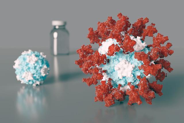 CAPTION Artist's depiction of an ultrapotent COVID-19 vaccine candidate in which 60 pieces of a coronavirus protein (red) decorate nanoparticles (blue and white). The vaccine candidate was designed using methods developed at the UW Medicine Institute for Protein Design. The molecular structure of the vaccine roughly mimics that of a virus, which may account for its enhanced ability to provoke an immune response.  CREDIT Ian Haydon/ UW Medicine Institute for Protein Design