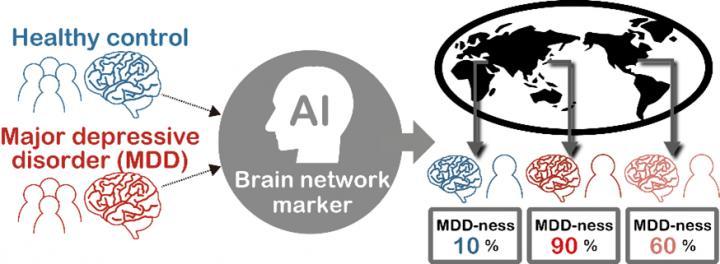  CAPTION Visual representation of new brain network signature  CREDIT Ayumu Yamashita