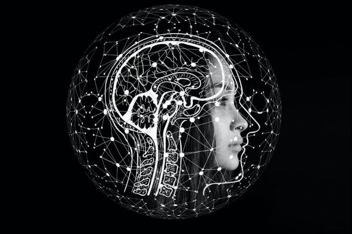 With only 1% difference, the human and chimpanzee protein-coding genomes are remarkably similar. Understanding the biological features that make us human is part of a fascinating and intensely debated line of research. Researchers at SIB and the University of Lausanne have developed a new approach to pinpoint, for the first time, adaptive human-specific changes in the way genes are regulated in the brain. These results open new perspectives in the study of human evolution, developmental biology and neurosciences. The paper is published in Science Advances.  CREDIT Source: Image by Gerd Altmann from Pixabay https://pixabay.com/illustrations/artificial-intelligence-brain-think-4389372/