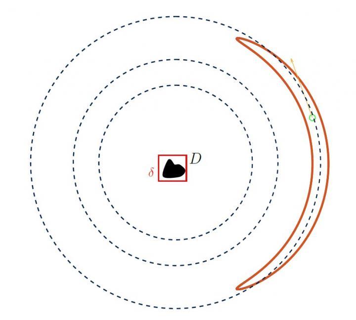 The simulated fish collects data about the target object (in the center) while swimming in multiple orbits at different length-scales (dotted lines).  CREDIT Figure courtesy of Lorenzo Baldassari and Andrea Scapin.