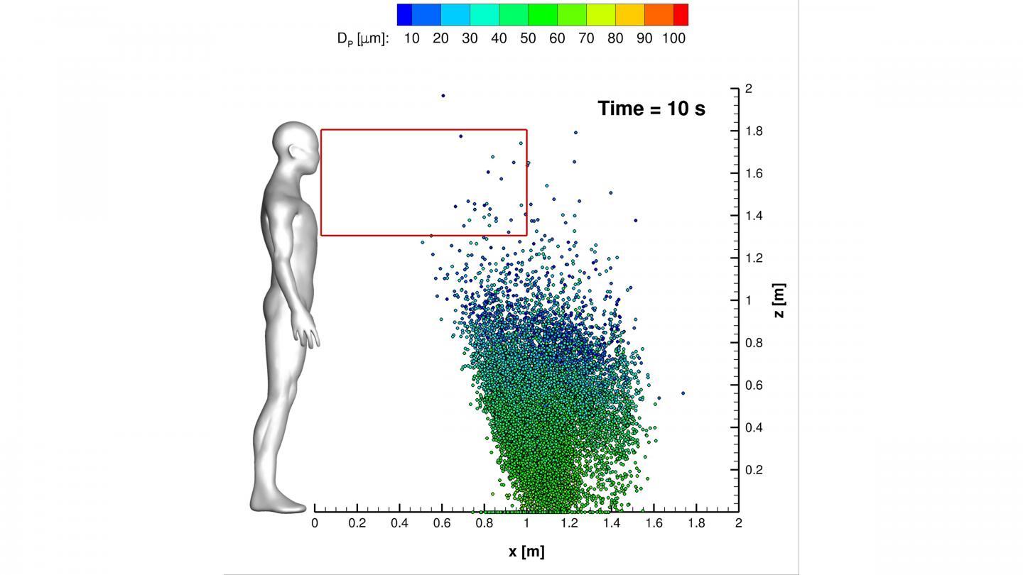 In Physics of Fluids, Marche Polytechnic University researchers describe using a supercomputer to do numerical modeling of cough droplets irradiated by UV-C light: The red zone (from your chest down) is the area of highest risk, so while your face may only receive a few cough droplets, it is critical to wash your hands and keep them away from your face.  CREDIT V. D'Alessandro, M. Falone, L. Giammichele, and R. Ricci