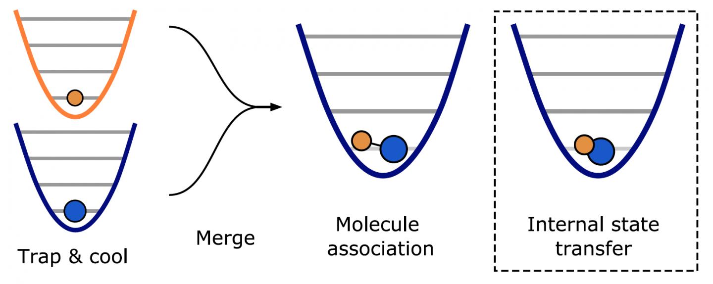 The above diagram shows part of the molecular assembly process from individually trapped atoms to ground state molecule using optical tweezers (lasers).  CREDIT Photo courtesy of the Ni group