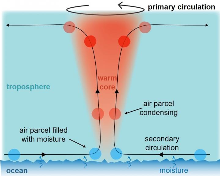 Air in a Northern Hemisphere hurricane circulates counterclockwise at tremendous speeds. As it spins, air also moves inwards, rises upwards and then moves outwards. The rising moist air condenses, which releases heat and forms a warm core inside the hurricane. Professor Pinaki Chakraborty and Dr. Lin Li studied the thermodynamics of hurricanes as part of a study in Physical Review Fluids.